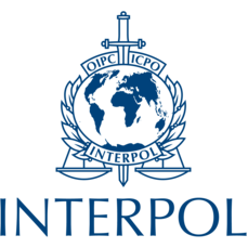 Interpol pozvao na hitnu akciju: tehnologija veštačke inteligencije podstiče globalni porast sajber kriminala